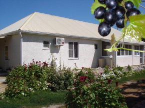 Strelnya-Dolzhanskaya apartments